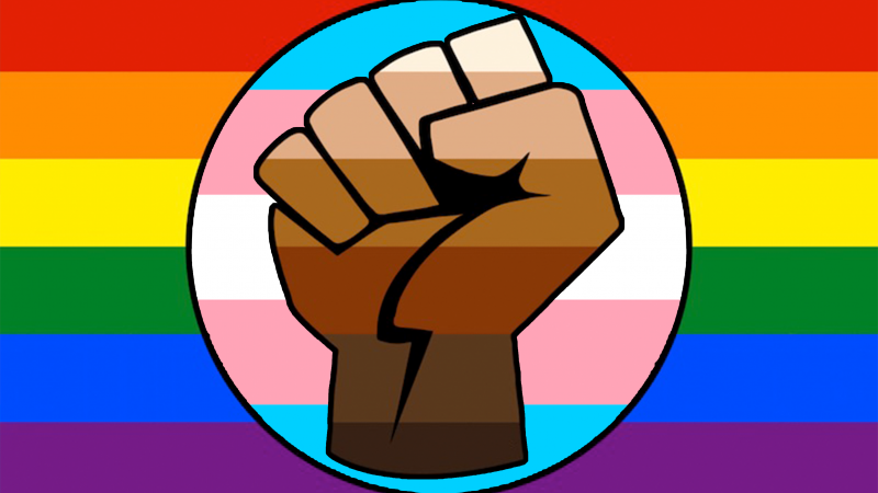 Fist in shades of brown overlays a circle with the trans pride flag which overlays a rainbow pride flag