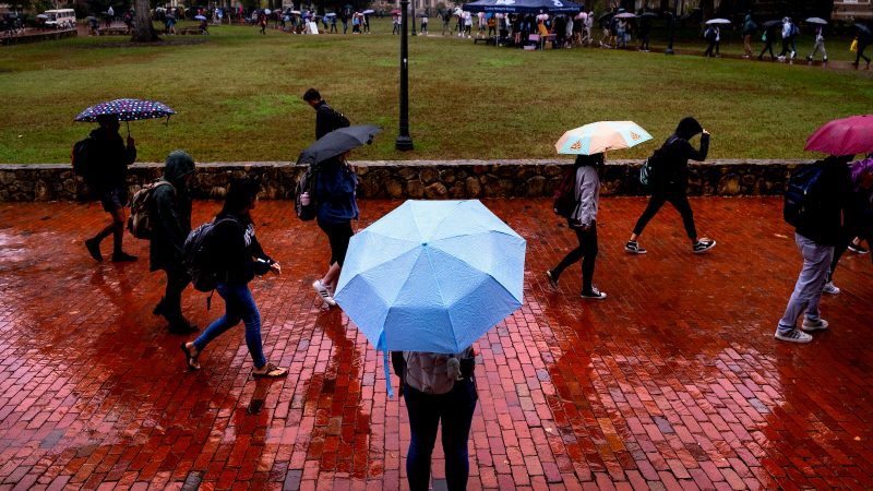 Umbrella on rainy day at Carolina