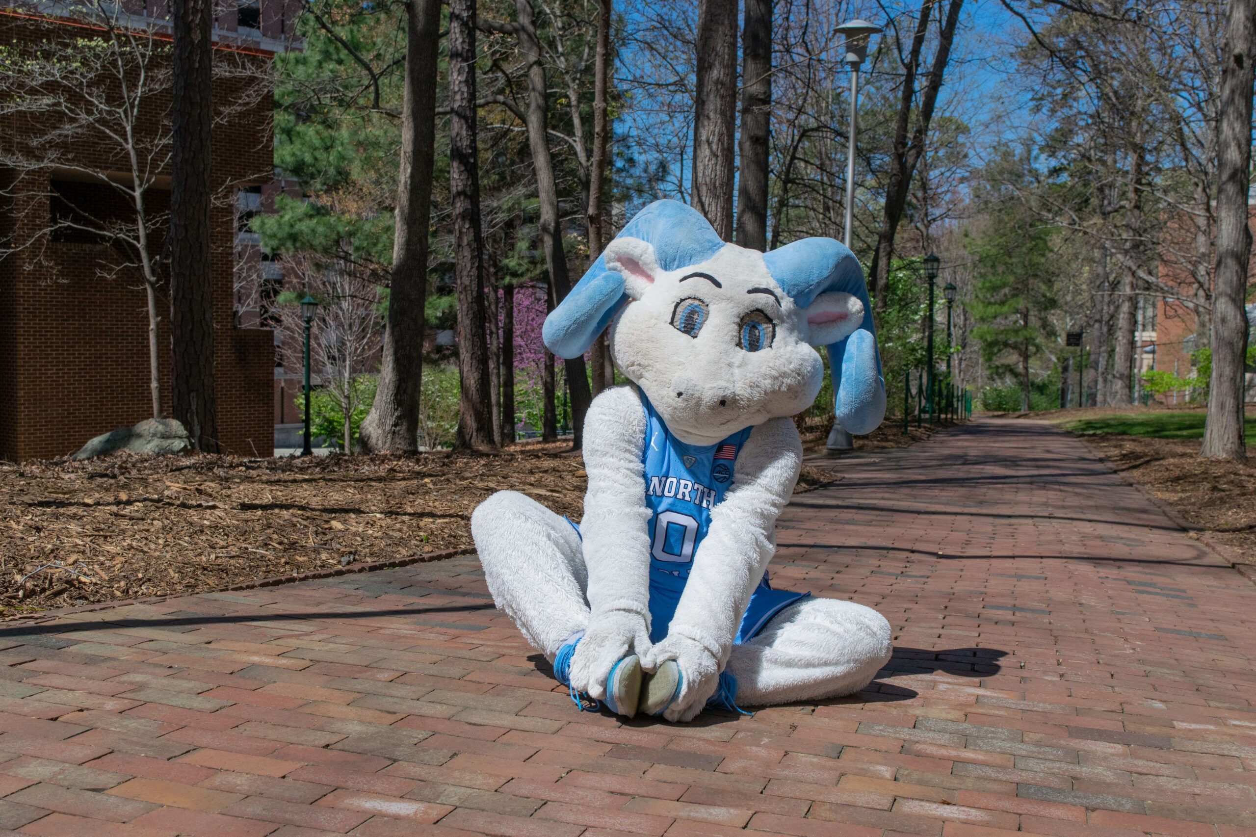 Rameses practices mindfulness on the bricks