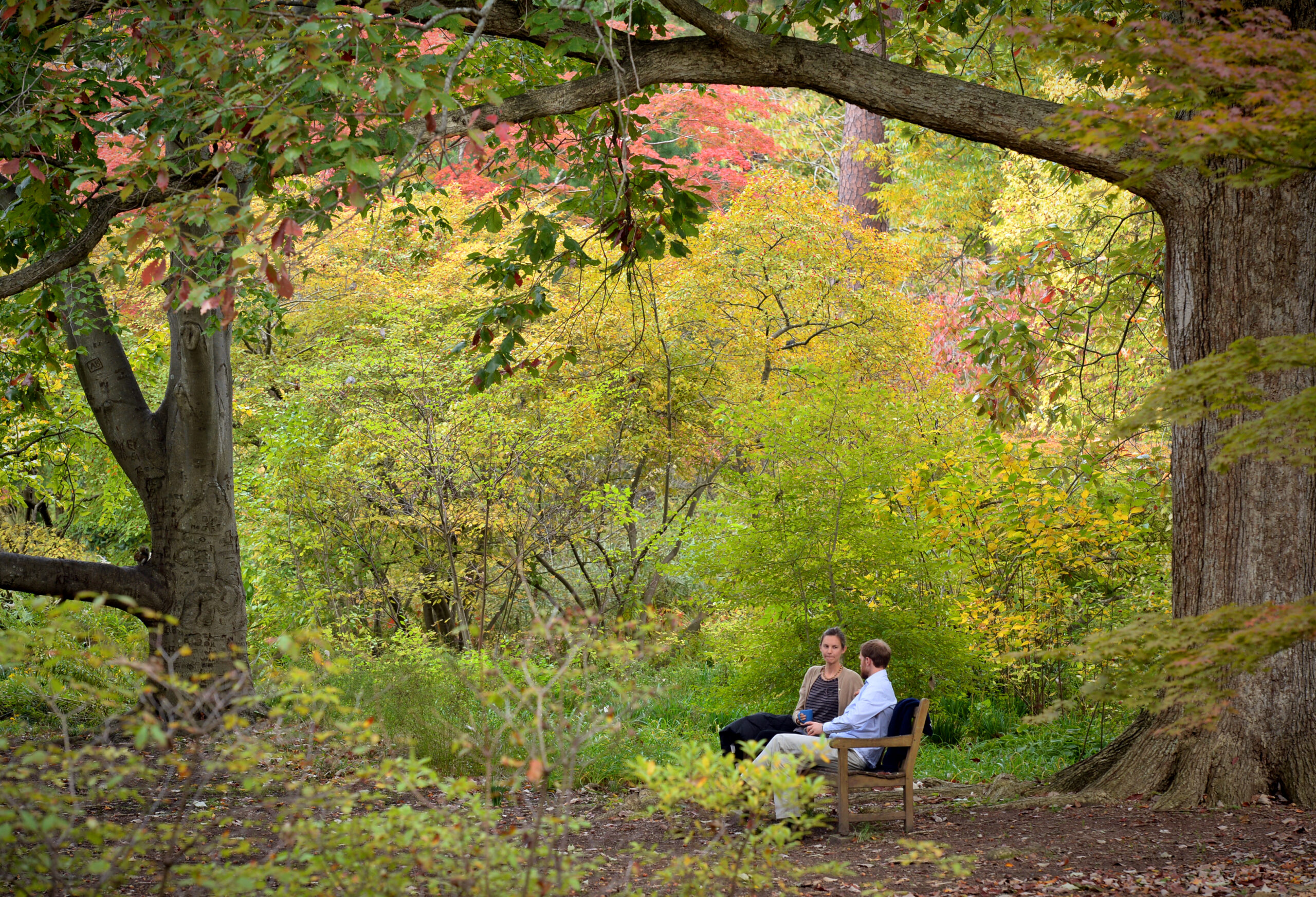 Photo of two people sitting on a bench surrounded by fall foliage