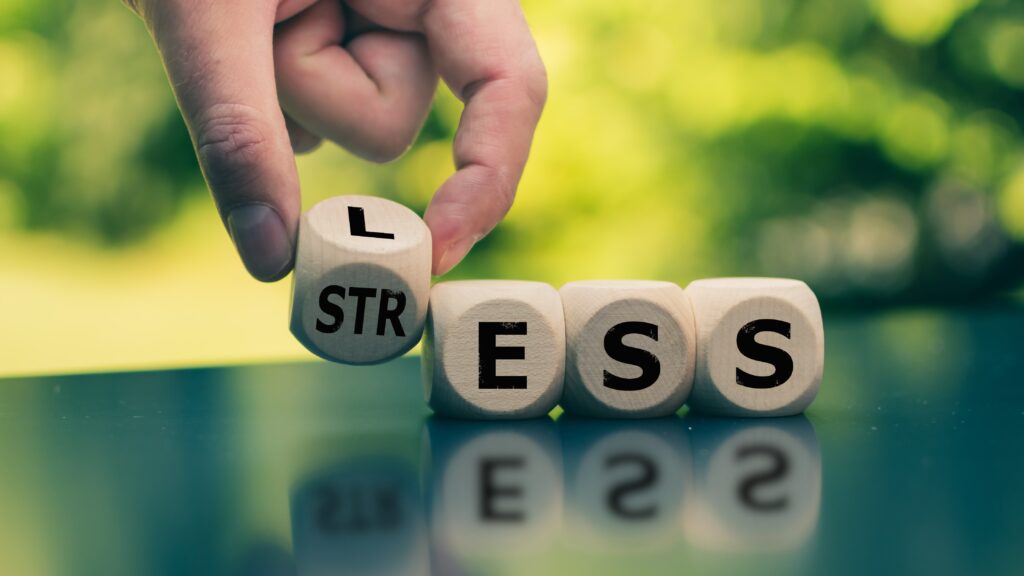 Block letters spelling the word "Stress"